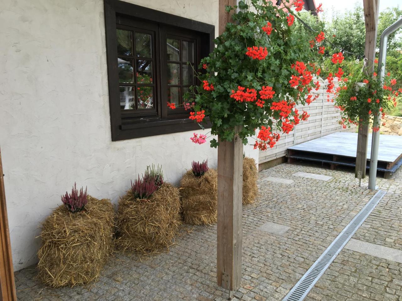 Biskupice Kocurów Stajnia Bialy Borek מראה חיצוני תמונה